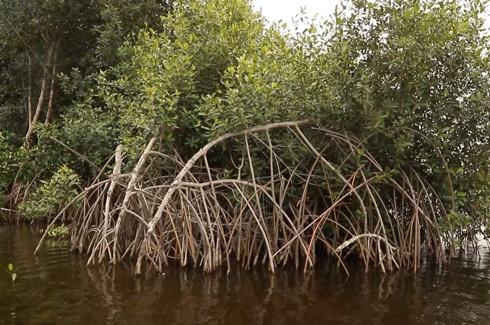 WhatsApp Image 2023 06 09 at 4.35.54 AM