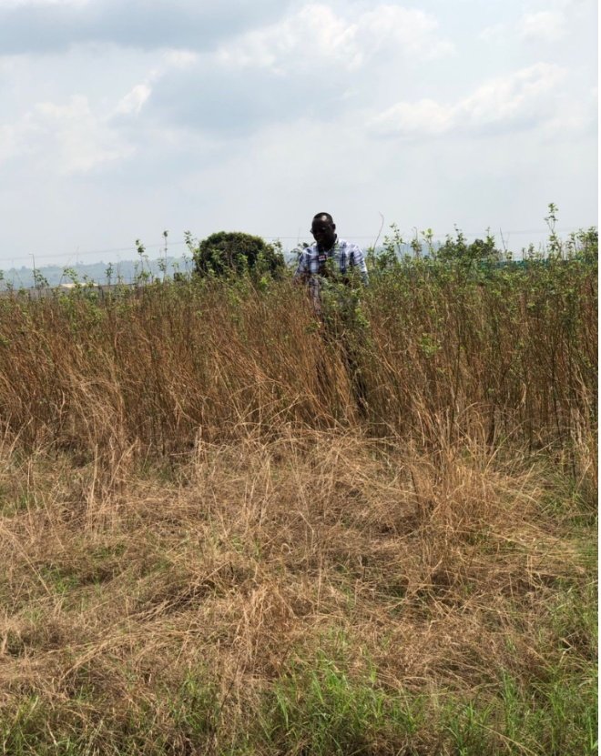 We received over GHC 119m – NYA provides partial details on funds invested into Youth Resource Centres 2 bush Koforidua