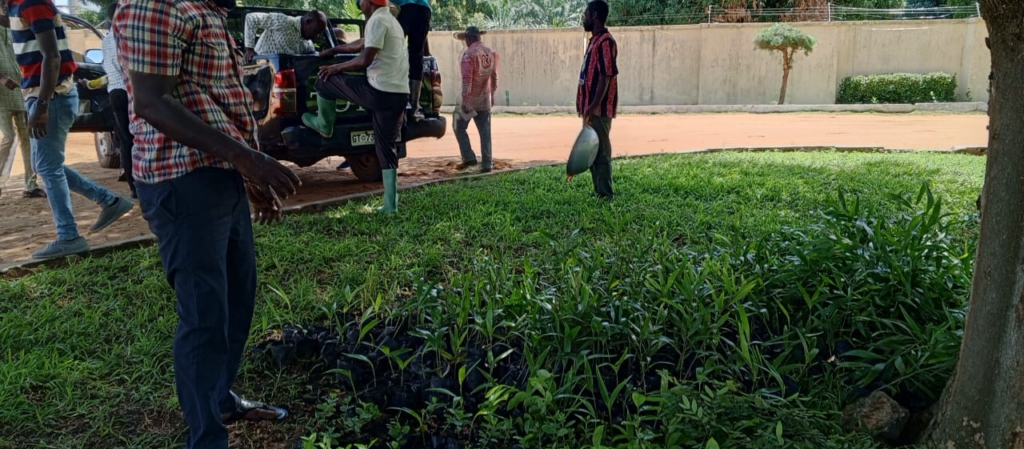 Green Ghana Day: Keta Municipal Assembly plants trees; MCE urges residents to nurture them