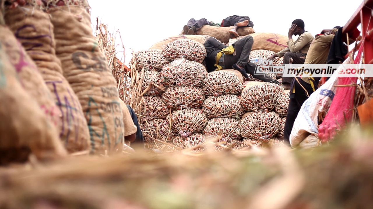 Onion Sellers Association allays fears of price hikes - Vimarsana News