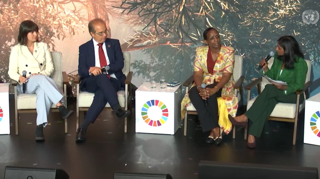 Dr. Agnes Kalibata at the session