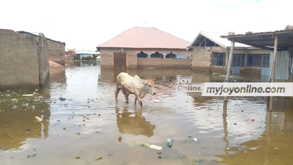 Flood from Bui dam spillage leaves 1,500 residents displaced in Buipe Flood from Bui dam spillage leaves 1,500 residents displaced in Buipe