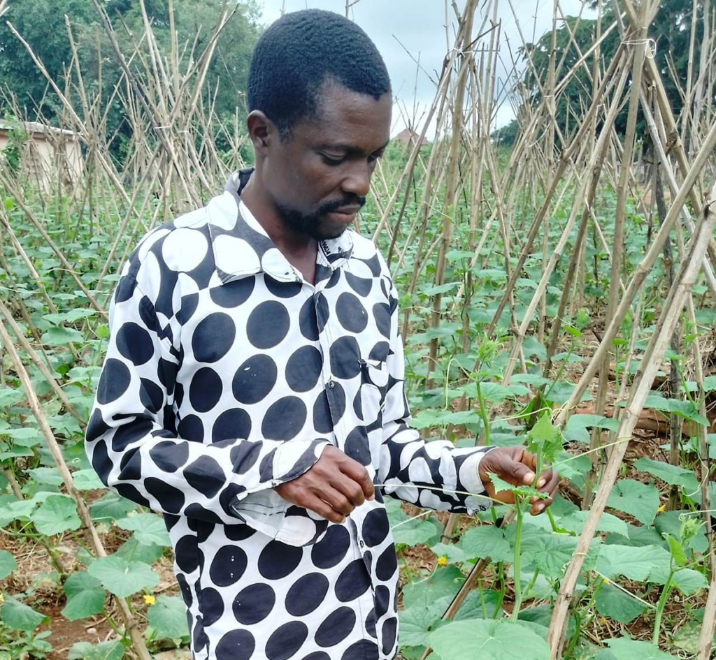 Ghanaian youth encouraged to get interested in farming