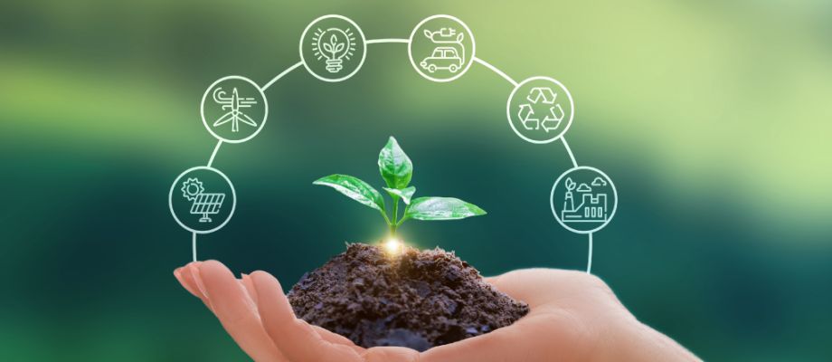 Empowering Global Innovation in Agriculture and Food Security: the Israeli Experience 2 WhatsApp Image 2023 09 29 at 11.35.28 AM
