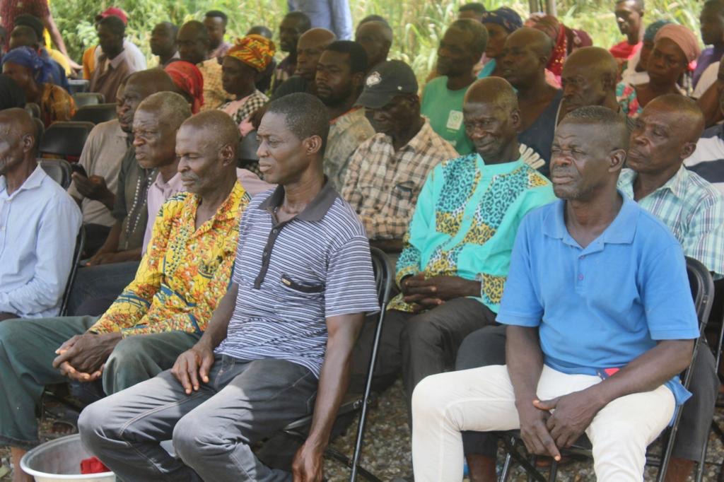 Over 350 farmers receive 53,000 tree crop seedlings in Sekyere Kumawu District