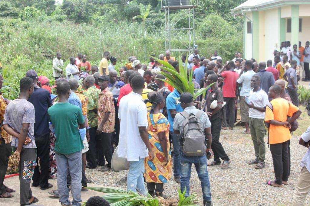 Over 350 farmers receive 53,000 tree crop seedlings in Sekyere Kumawu District - Vimarsana News
