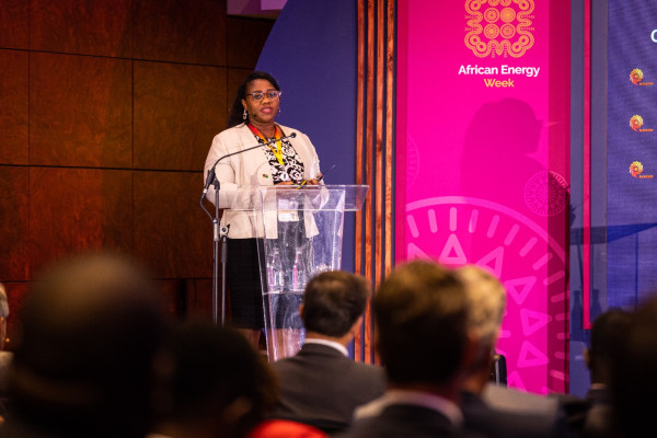 Unlocking Namibia’s Oil and Gas Potential: Insights from African Energy Week (AEW) 2023 Presentation by Namcor 2 418 1P2vBM