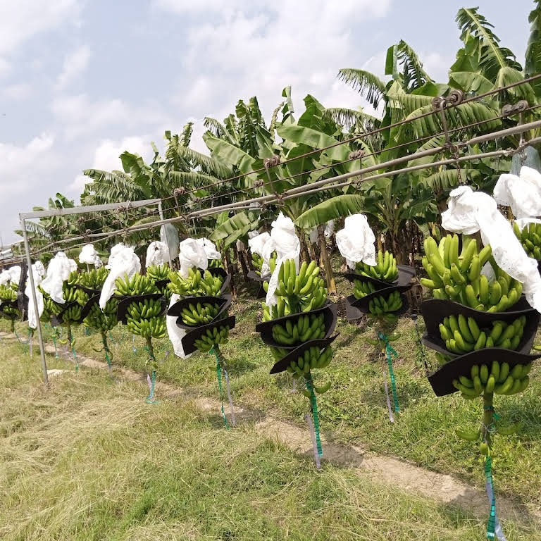 WhatsApp Image 2023 10 20 at 02.32.35