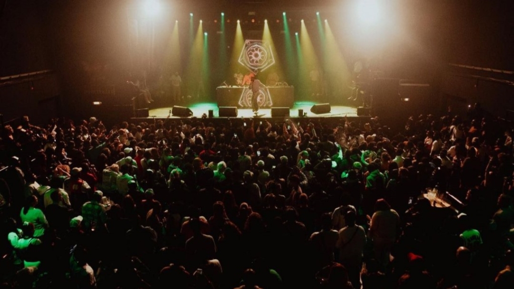 5th Dimension tour: Stonebwoy thrills fans in Germany