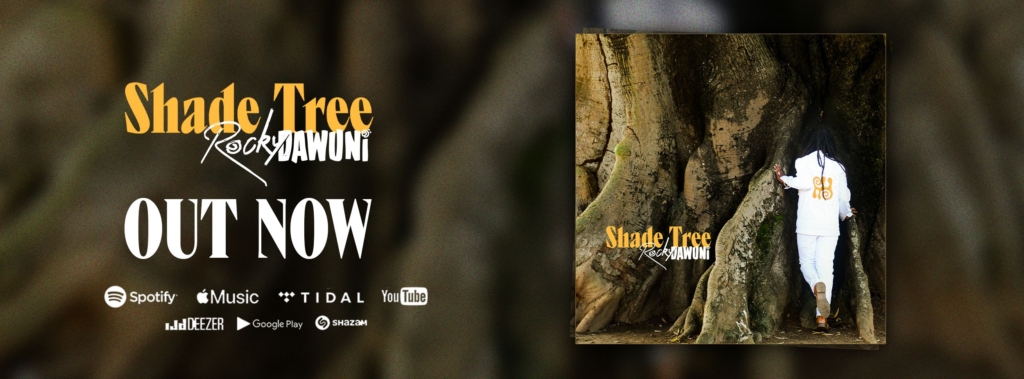 Rocky Dawuni preaches unity in diversity in new song 'Shade Tree'