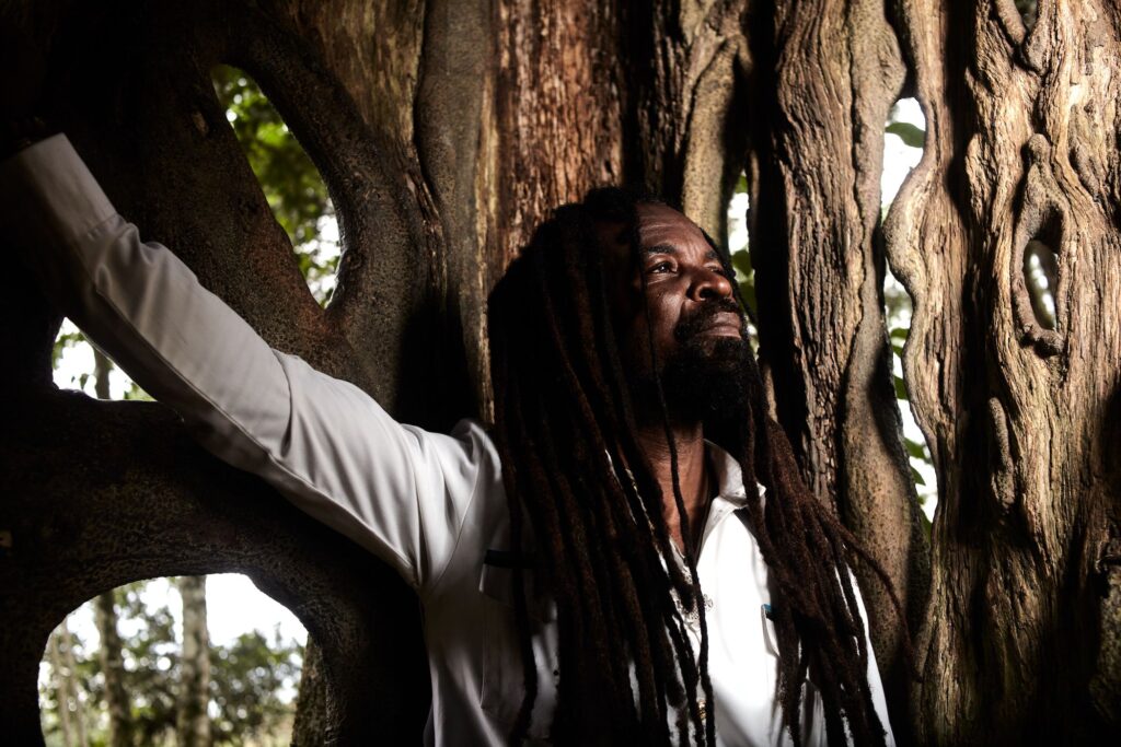 Shade Tree: Rocky Dawuni preaches unity in diversity - Vimarsana News