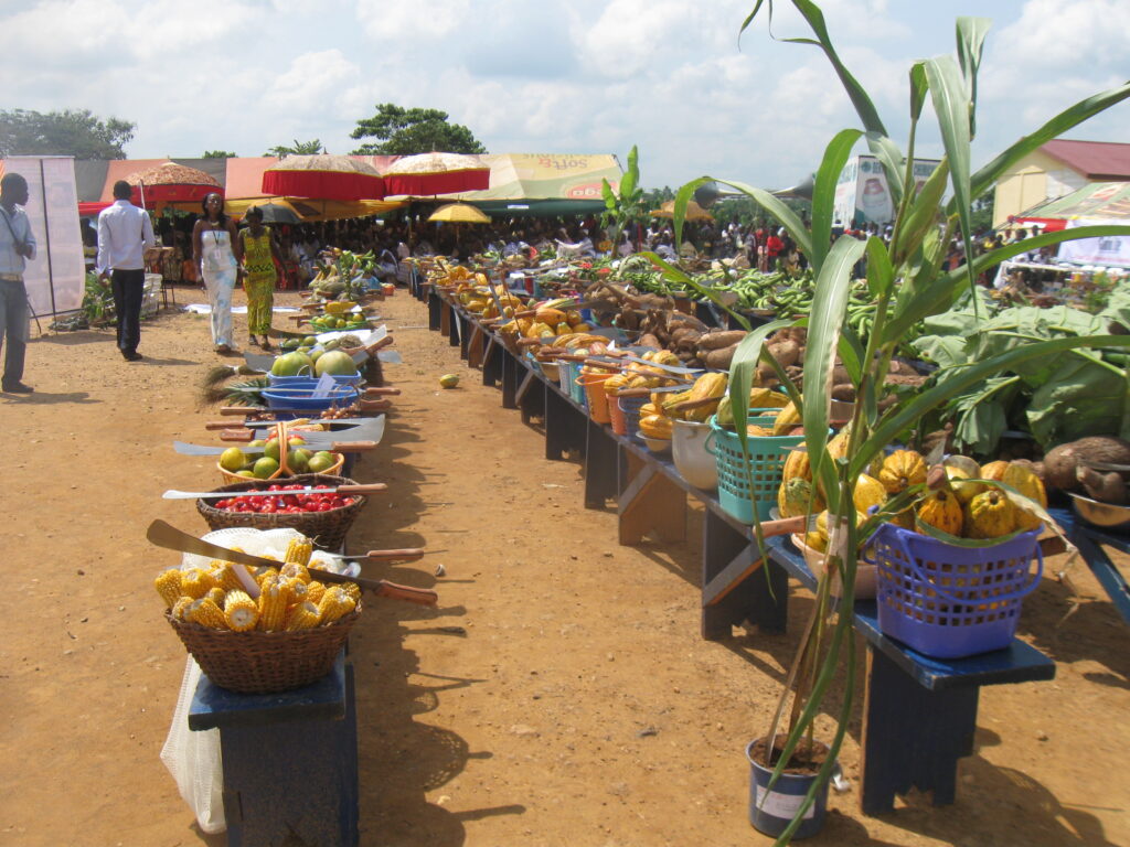 39th edition of Farmers’ Day celebration launched 2 2010 FarmersDay AshantiRegion Ghana 5262946799