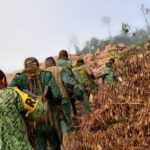 Forestry Commission is not adequately positioned to fight 'galamsey' - Hugh Brown Forestry Commission is not adequately positioned to fight 'galamsey' - Hugh Brown