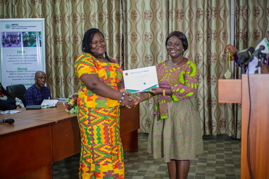 Joy News' Ivy Setordjie wins 'Inclusive and Anti-conflict Journalism' award - Vimarsana News