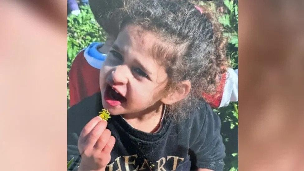 Israel-Gaza: Four-year-old girl among released hostages - Vimarsana News