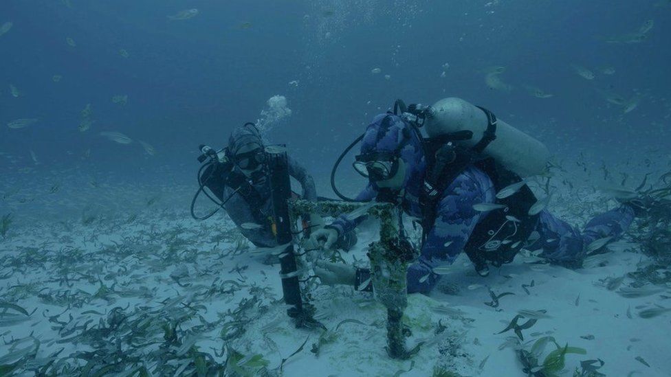 Divers fitting underwater recording device to the seabed close to the Seychelles