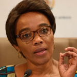 Thieves put a gun to South Africa's Transport Minister's head