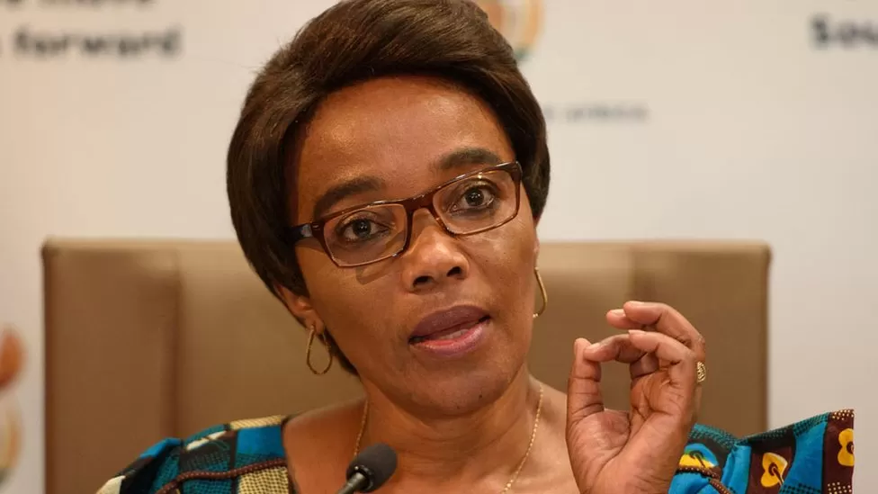 Thieves put a gun to South Africa's Transport Minister's head