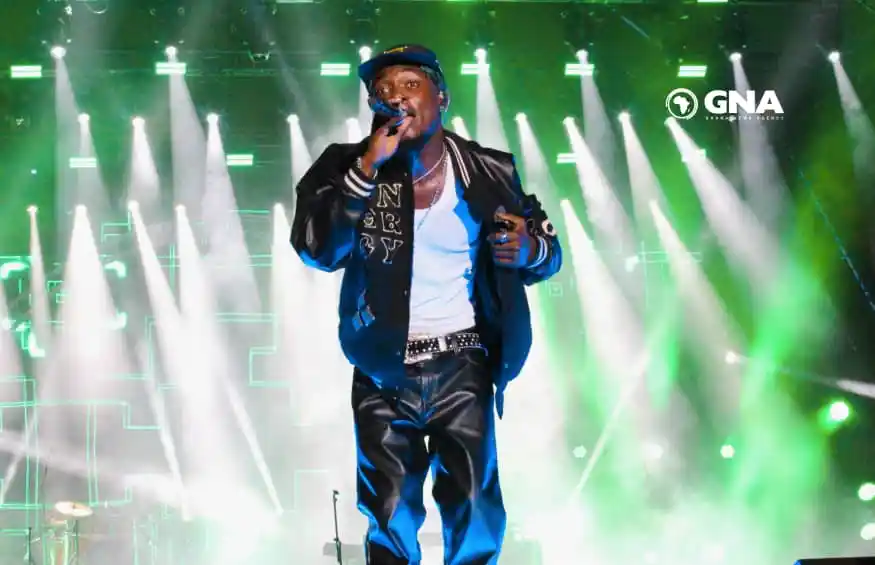 AfroFuture comes alive with Davido's goosebumps performance