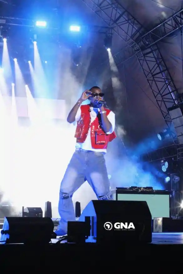 AfroFuture comes alive with Davido's goosebumps performance