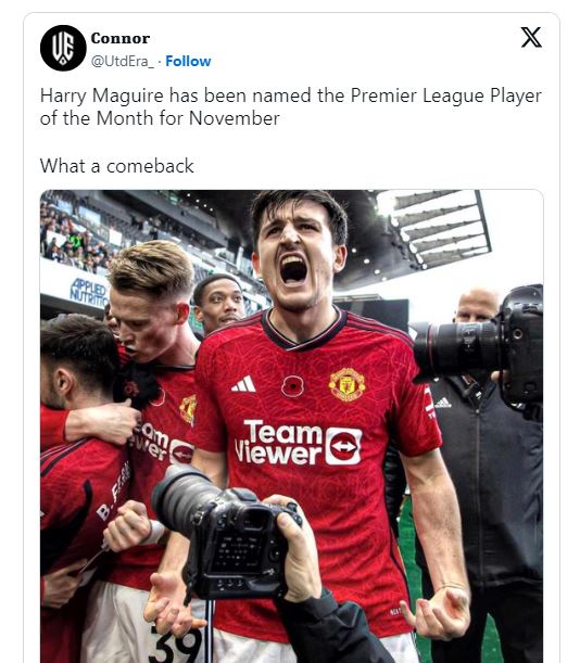 Harry Maguire has been named the Premier League Player of the