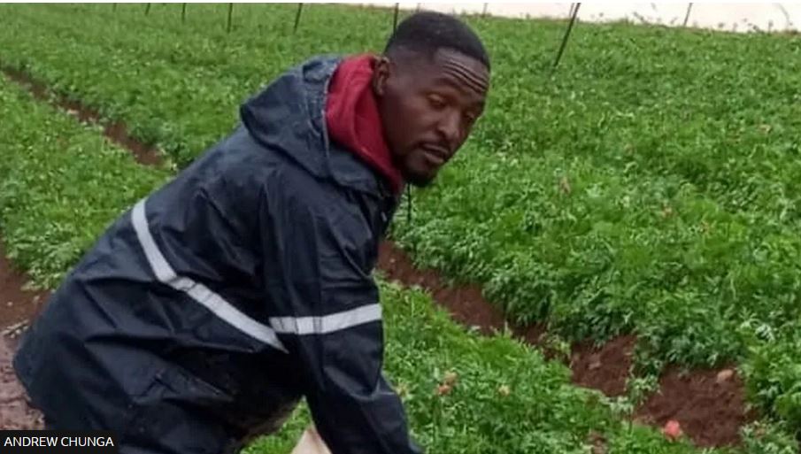 Kenya follows Malawi in sending farm workers to Israel amid Hamas war 2 Capture 18