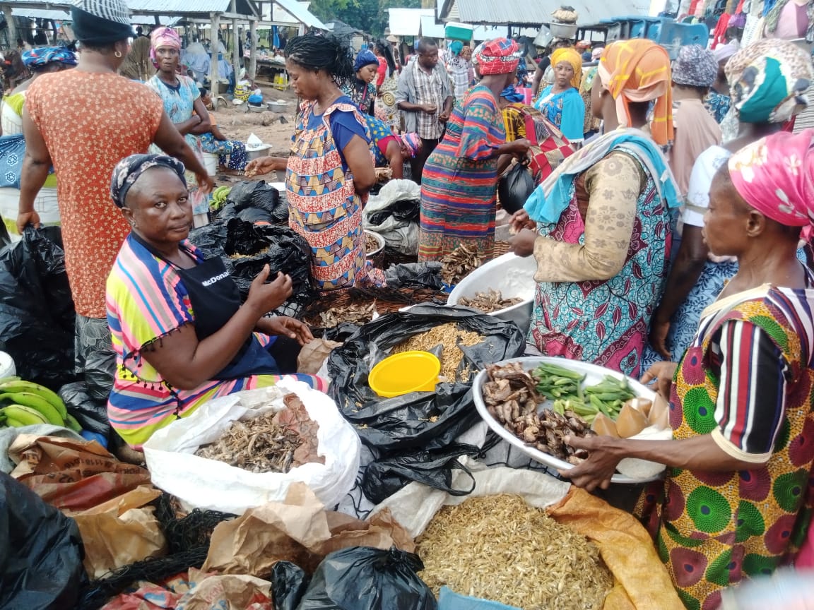 Paramount Chief of Jama Traditional Area extends market days at Jama Moonyoa Market to boost trade - Vimarsana News