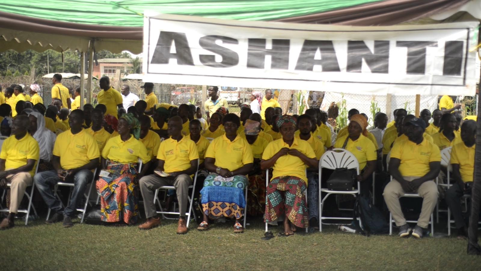 Challenges in release of seed funds fuelling smuggling and diversion of cocoa beans – LBC - Vimarsana News