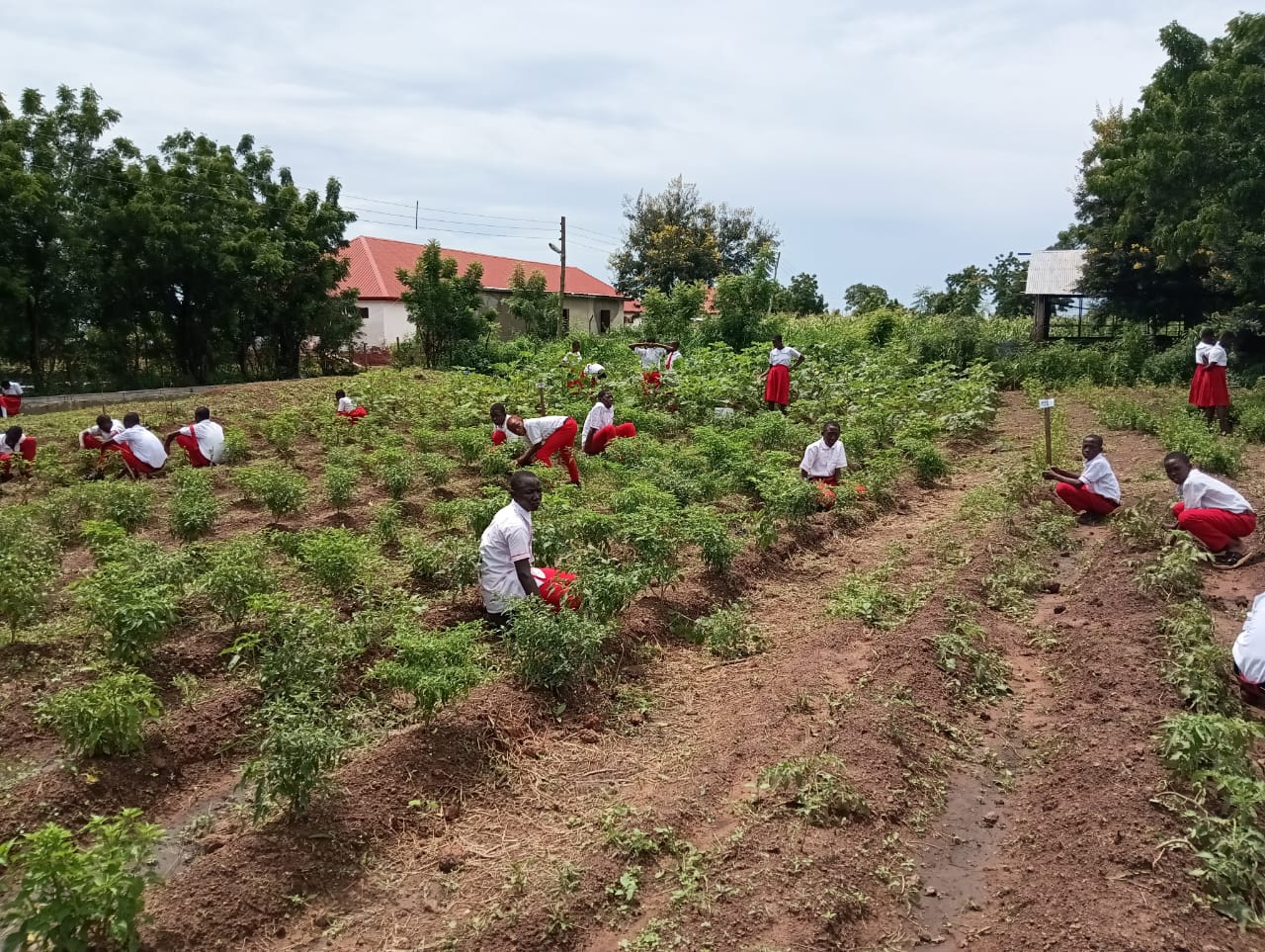 Northern College of Science and Technology adjudged best Educational Institution in Agriculture in N/R - Vimarsana News