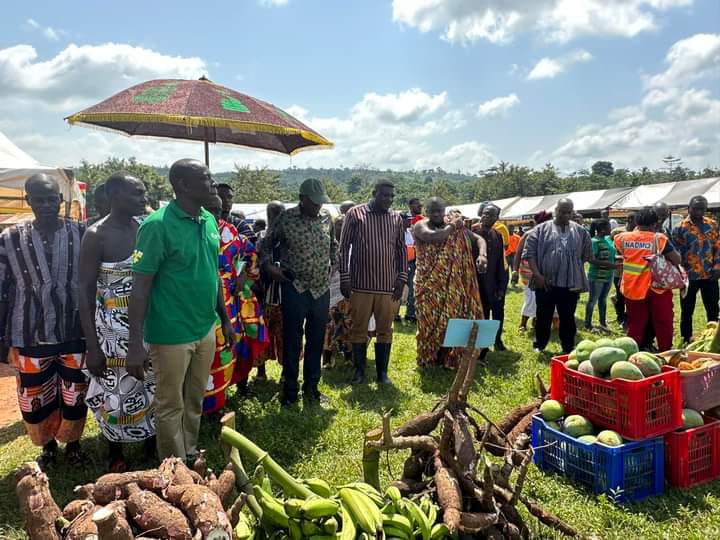 Government reduced post-harvest losses through road infrastructure expansion - Dan Botwe - Vimarsana News