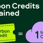 Kwame Sowu: Unveiling the Potential of Carbon Credit Trading for Young Entrepreneurs in Ghana