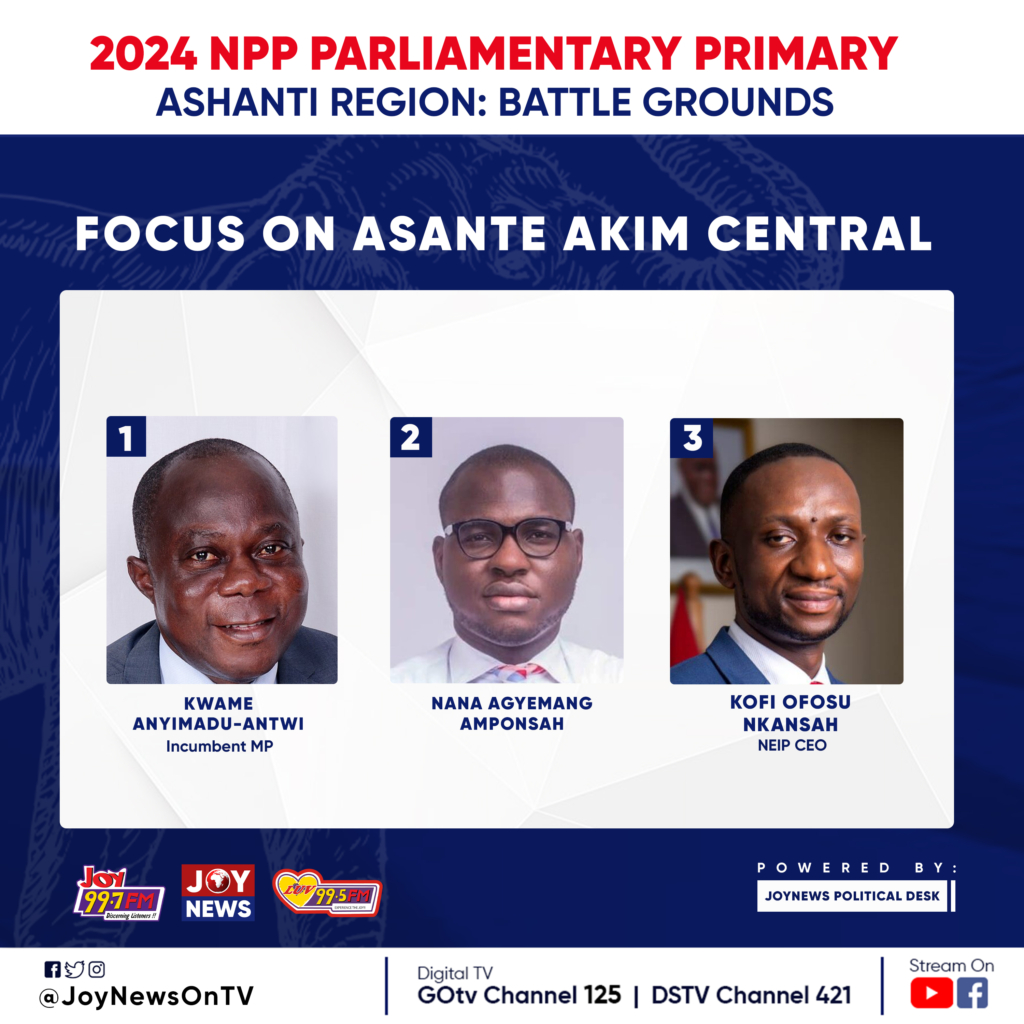 LIVE UPDATE: NPP Parliamentary Primary: Key battle grounds