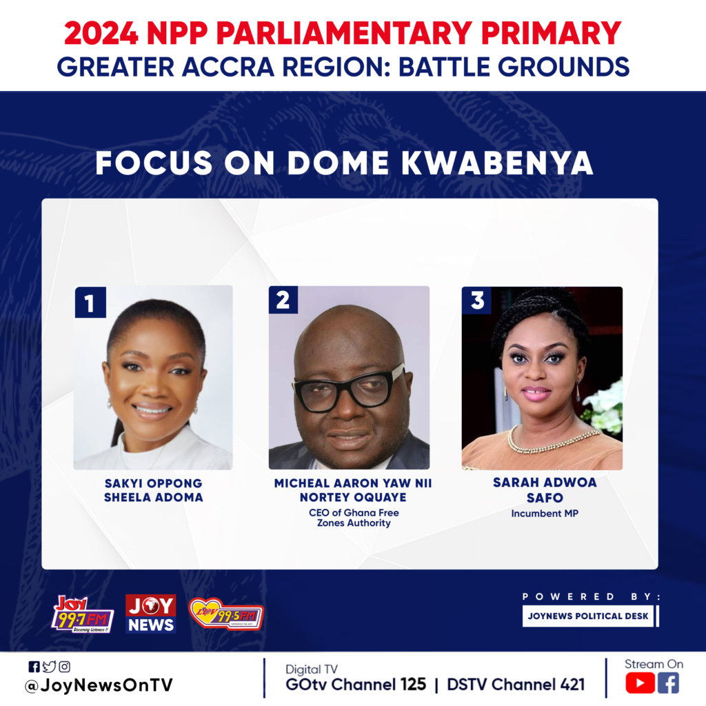 LIVE UPDATE: NPP Parliamentary Primary: Key battle grounds