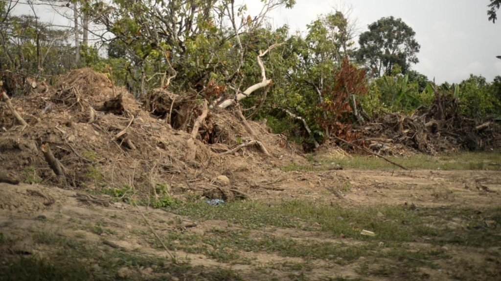 Forest reserves as large as 30 football fields destroyed by illegal miners at Anhwiaso 