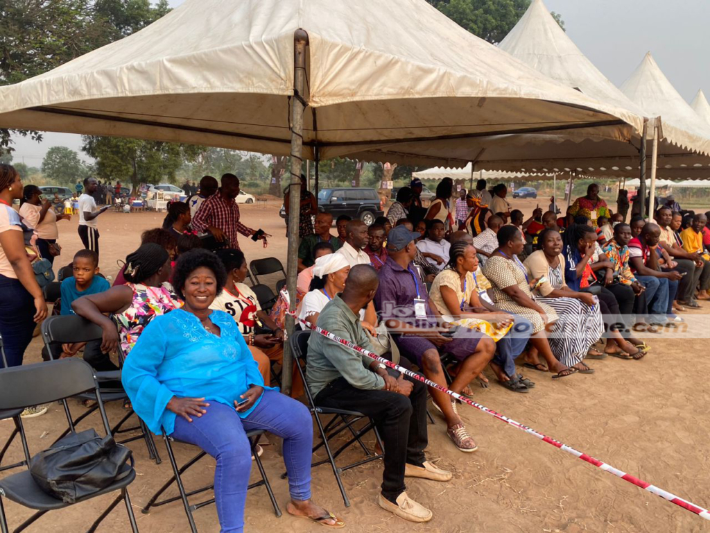 NPP Primaries: Mike Ocquaye Jnr beats Adwoa Safo; K.T. Hammond, Asenso-Boakye, others retain candidacy