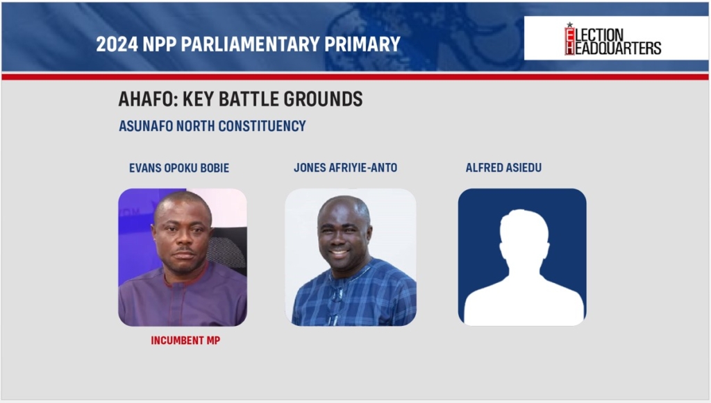 NPP Parliamentary Primaries: All the facts and figures in Infographics