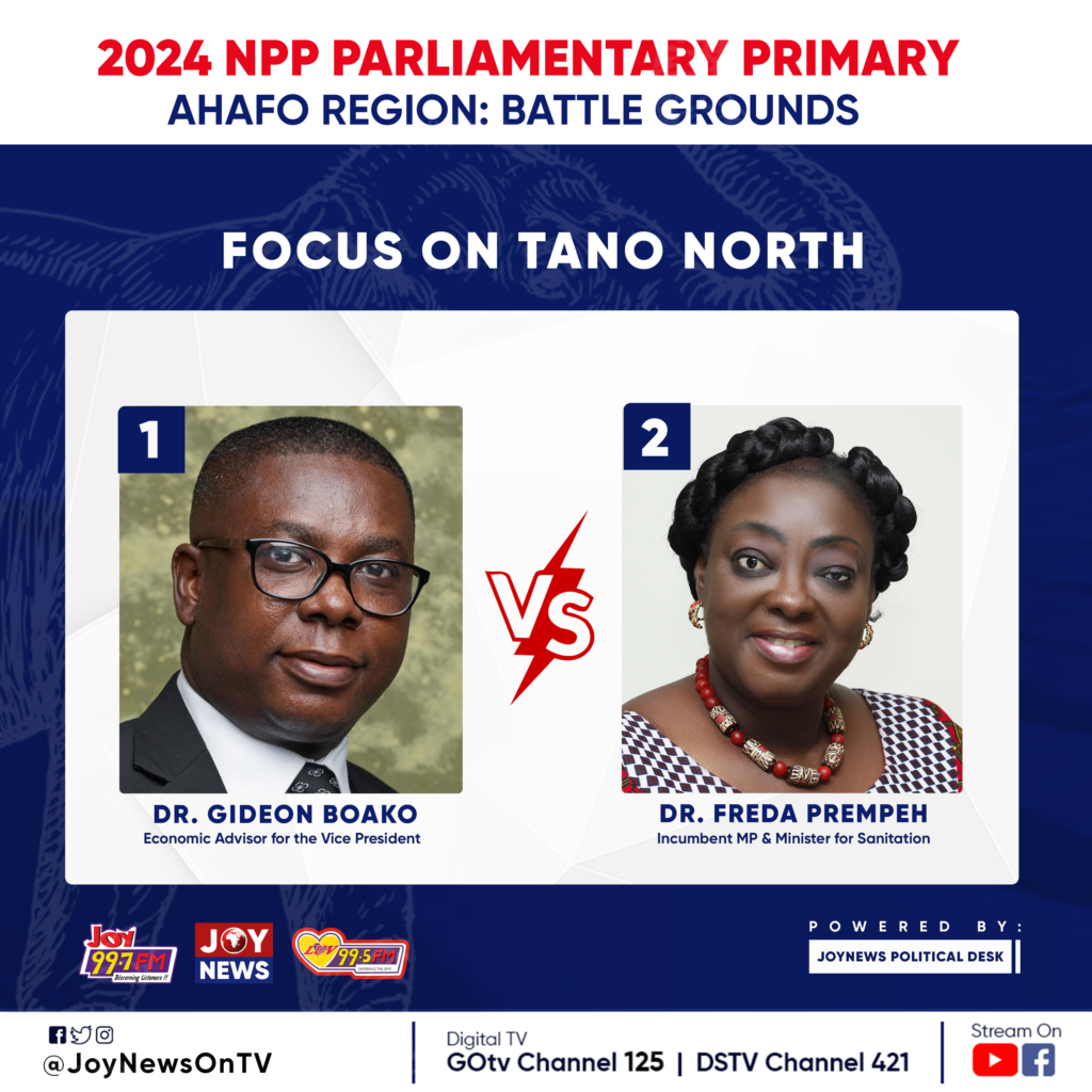 LIVE UPDATE: NPP Parliamentary Primary: Key battle grounds