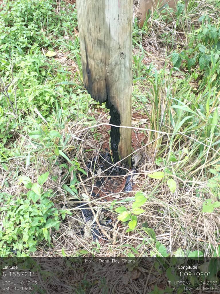 Bush fires affecting stable power supply, desist from it - ECG appeals to public - Vimarsana News