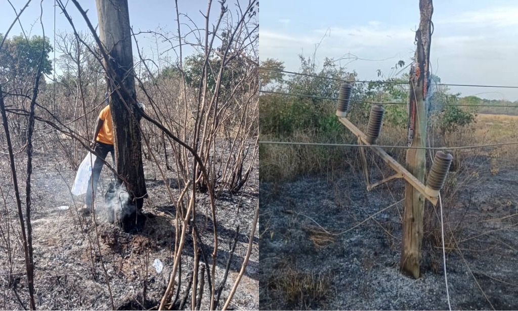 ECG appeals for public support in preventing bushfires to safeguard power supply - Vimarsana News
