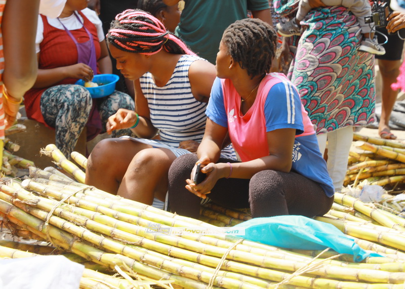 Senior High School graduate sells sugarcane to raise funds for nursing training