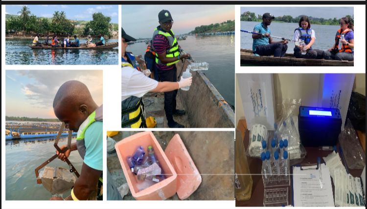 Scientists adopt rapid bacteria testing kits to improve water quality in Ghana's aquaculture sector - Vimarsana News
