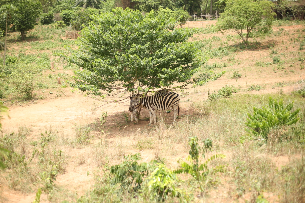 Joy FM’s Eastern Camp Adventure: Discoveries, experiences, excitement!