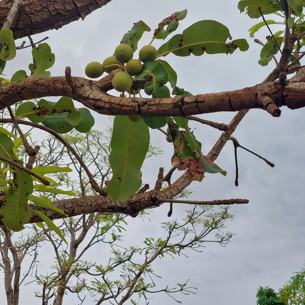 Ghana hosts Climate Change Summit to call for urgent action to safeguard Africa’s future