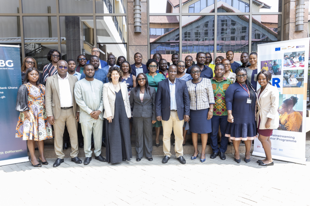 500 women entrepreneurs to benefit from DBG's GH₵1bn funding – Deputy CEO - Vimarsana News