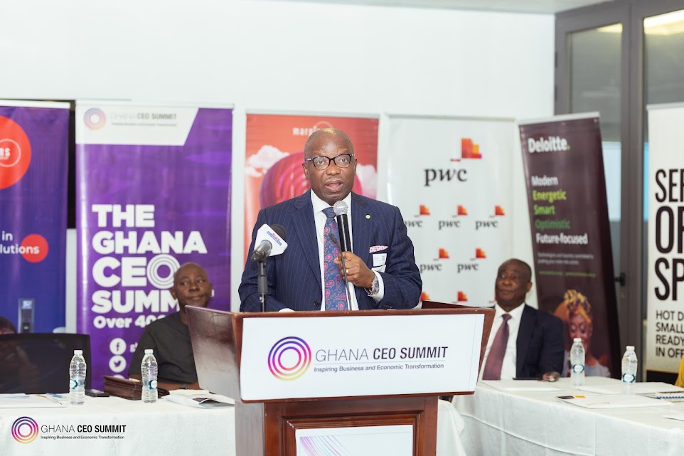 We need long term macroeconomic stability to build a strong and vibrant economy – Deloitte Boss - Vimarsana News