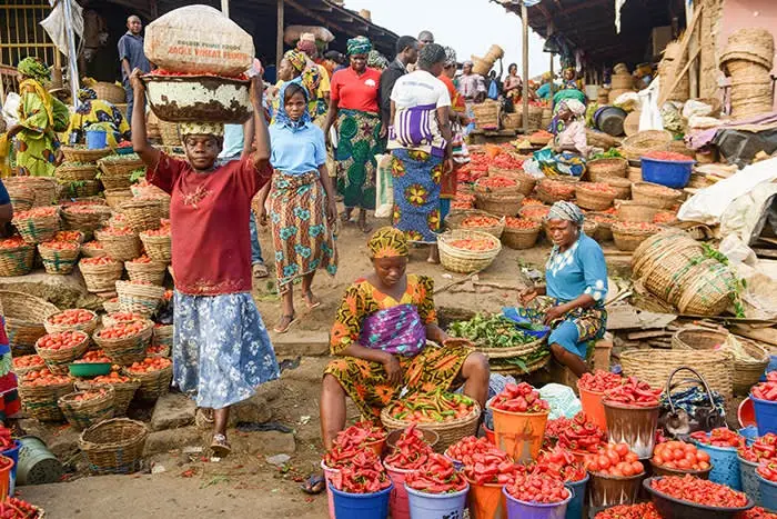 Nigeria battles to save 31.5m people in 26 states from food crisis - Vimarsana News