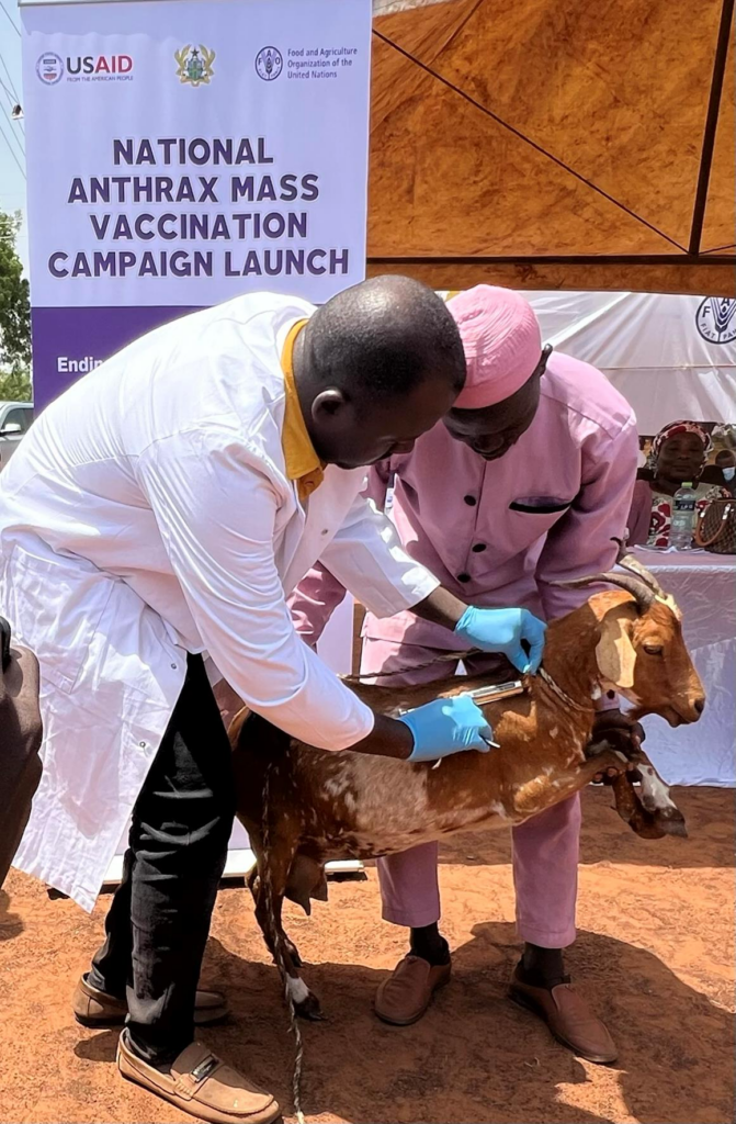 U.S. government donates anthrax vaccines to protect Ghanaians and livestock