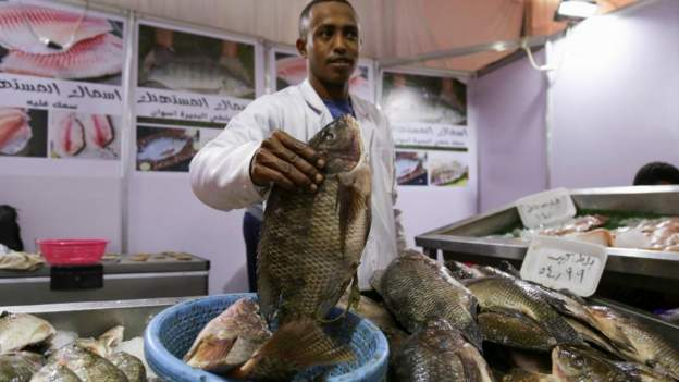 'Let it rot' campaign hits fish prices in Egypt