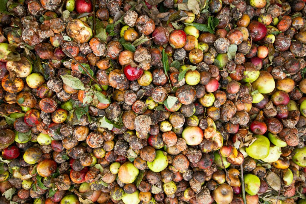 Navigating the nexus of hunger, food waste and sustainable development in Ghana - Vimarsana News