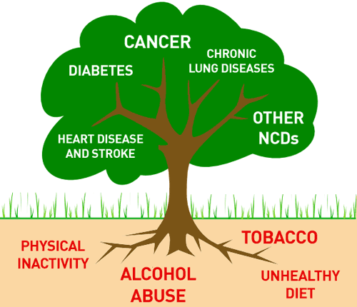 Rising NCD burden threatens Africa’s health gains as WHO urges urgent, coordinated action